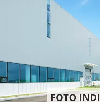 Foto annuncio 7
