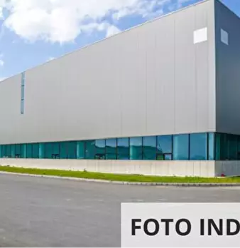 Foto annuncio 9