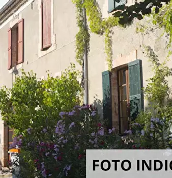 Foto annuncio 16