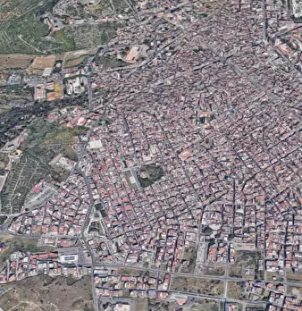 Foto annuncio 12