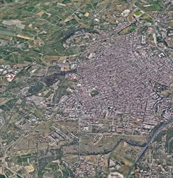 Foto annuncio 13