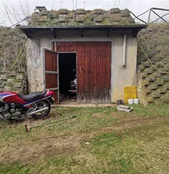 Foto annuncio 5
