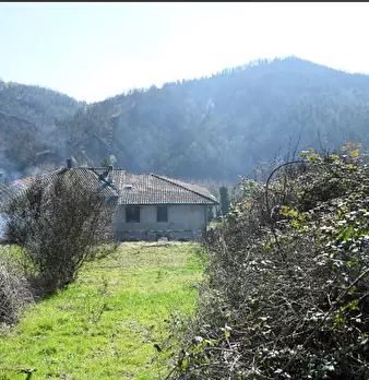 Foto annuncio 12