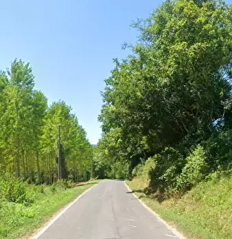 Foto annuncio 14