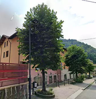 Foto annuncio 18
