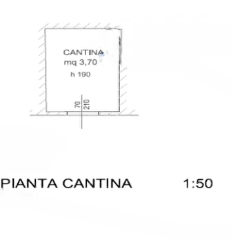 Foto annuncio 22
