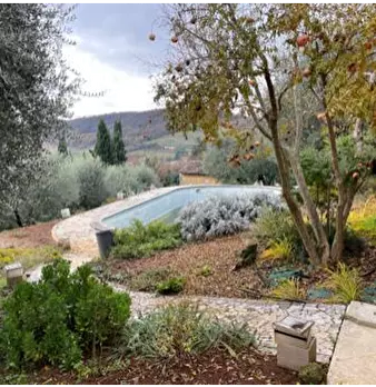 Foto annuncio 3