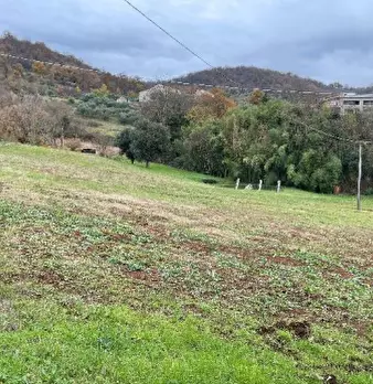 Foto annuncio 11