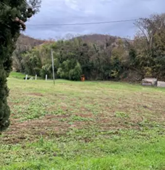 Foto annuncio 12