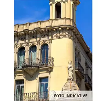 Foto annuncio 24