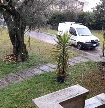 Foto annuncio 9