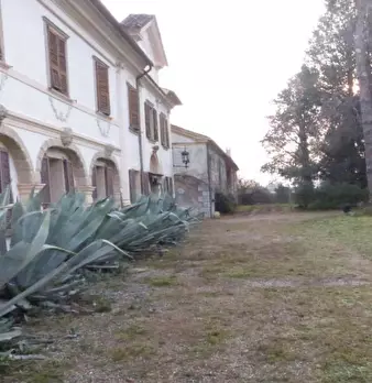 Foto annuncio 11