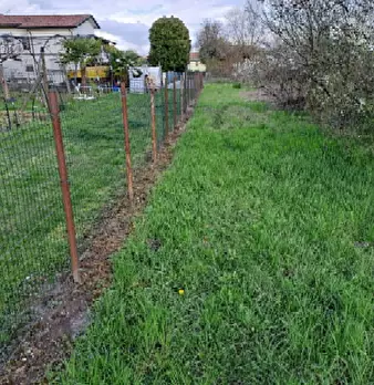 Foto annuncio 2