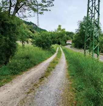 Foto annuncio 18