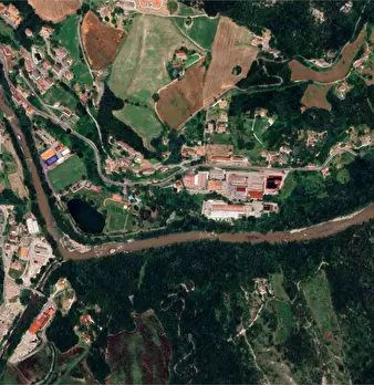Foto annuncio 31