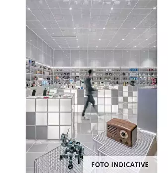 Foto annuncio 15