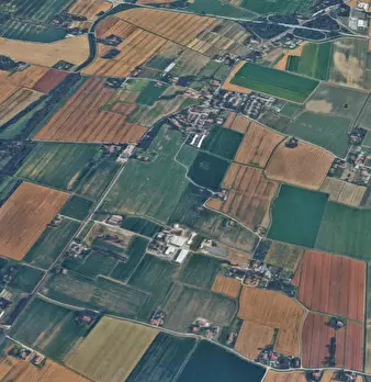Foto annuncio 10