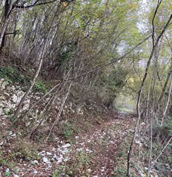 Foto annuncio 2