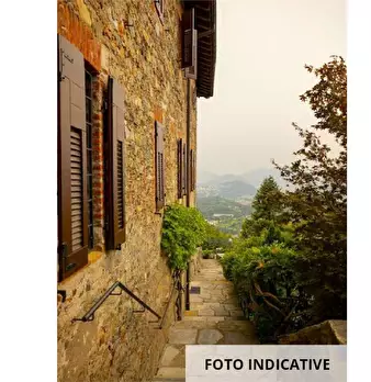 Foto annuncio 21