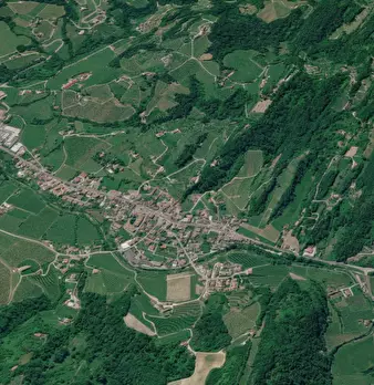 Foto annuncio 7