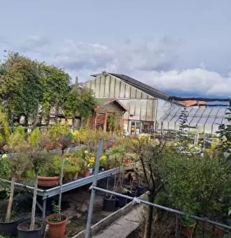 Foto annuncio 3