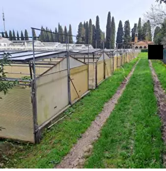 Foto annuncio 6