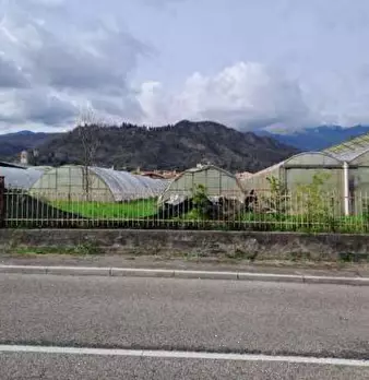 Foto annuncio 7