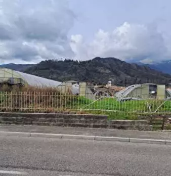 Foto annuncio 8