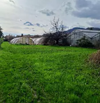 Foto annuncio 13