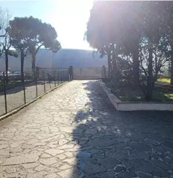 Foto annuncio 8