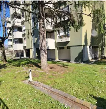 Foto annuncio 9