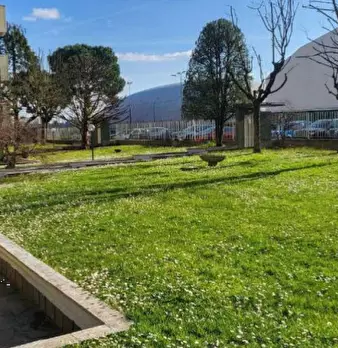 Foto annuncio 10