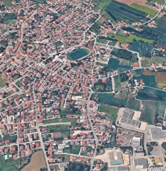 Foto annuncio 9