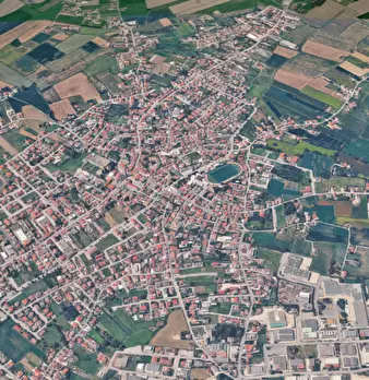 Foto annuncio 10
