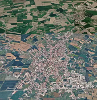 Foto annuncio 12