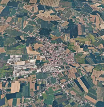 Foto annuncio 11