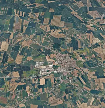 Foto annuncio 12