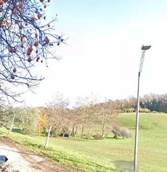 Foto annuncio 26