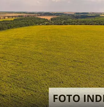 Foto annuncio 21