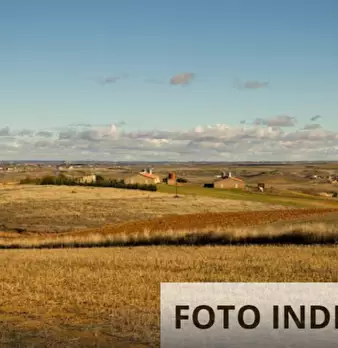 Foto annuncio 22