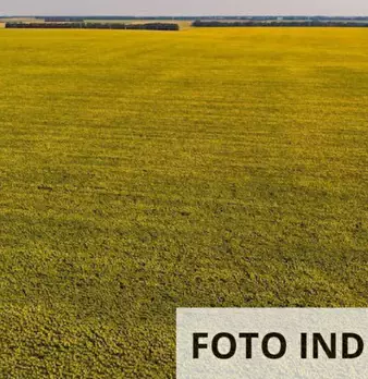 Foto annuncio 23