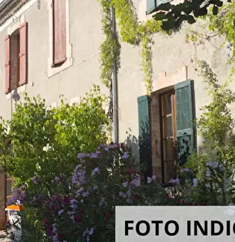 Foto annuncio 4