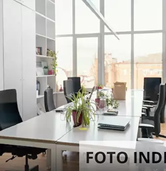 Foto annuncio 11