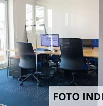 Foto annuncio 13