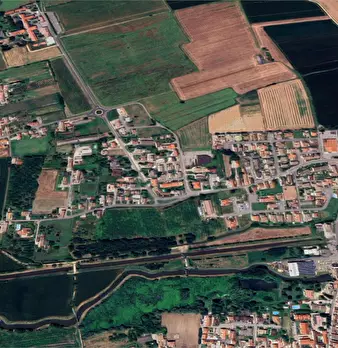 Foto annuncio 10