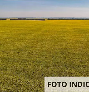 Foto annuncio 16