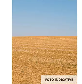 Foto annuncio 17