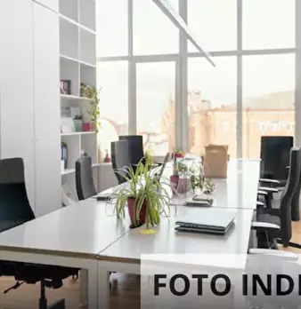 Foto annuncio 10
