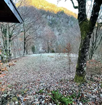 Foto annuncio 11