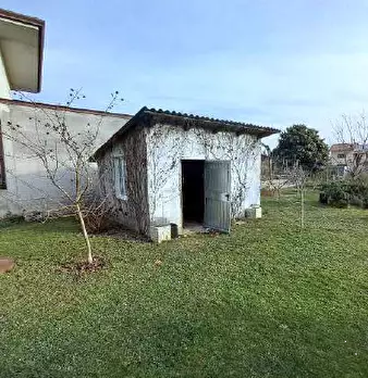 Foto annuncio 8